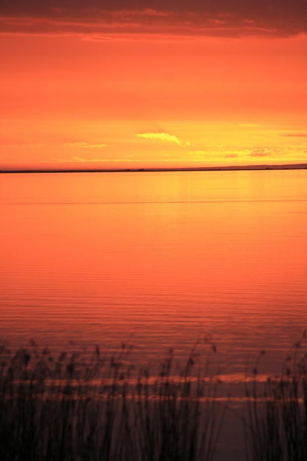 Lake Albert Motel Meningie エクステリア 写真